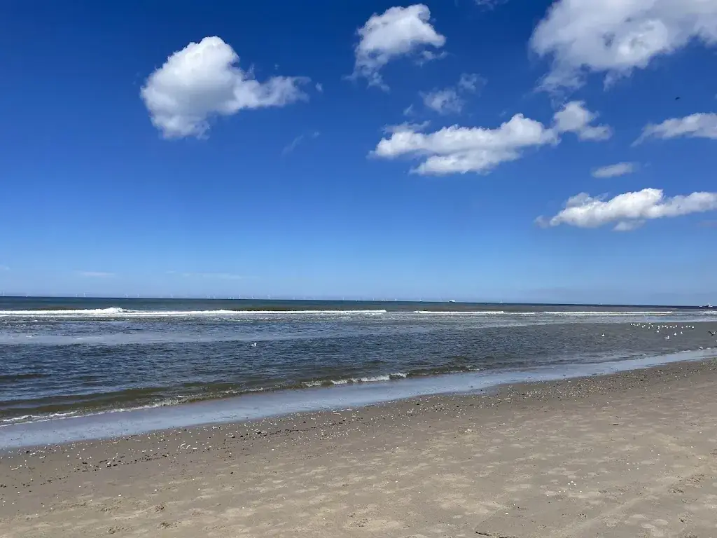 Marissa Sustic_Strandpaviljoen De Staat_Haag_review