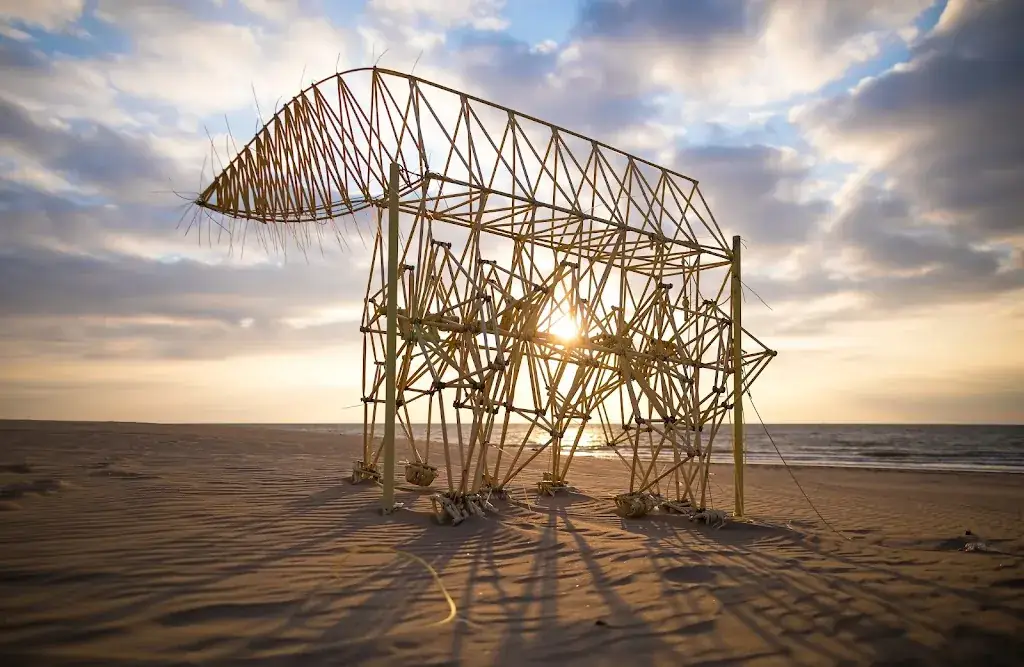 Maurice Haak_Kookaburra Beach_Haag_recensione