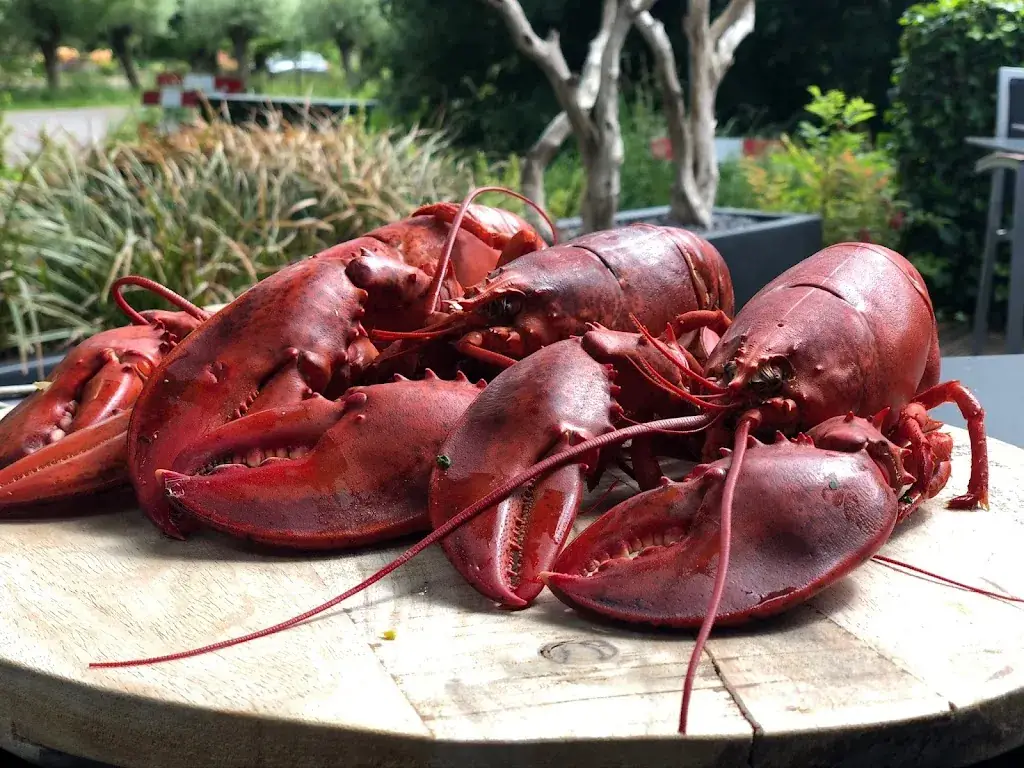 De Roode Leeuw_IJssel_slider_image_2