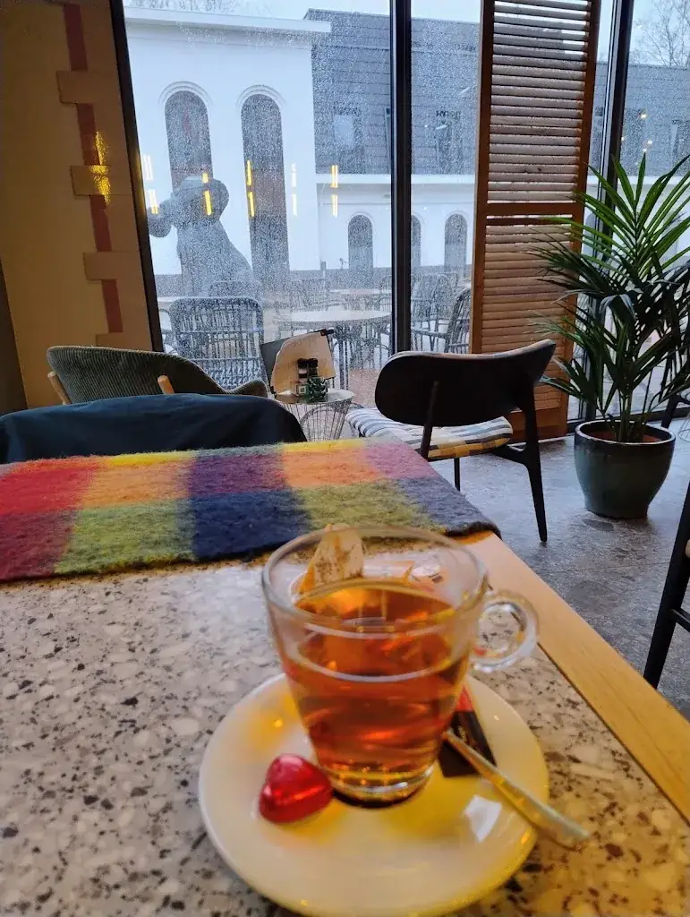 C De Jong_De Babbelaar_Burgum_recensione