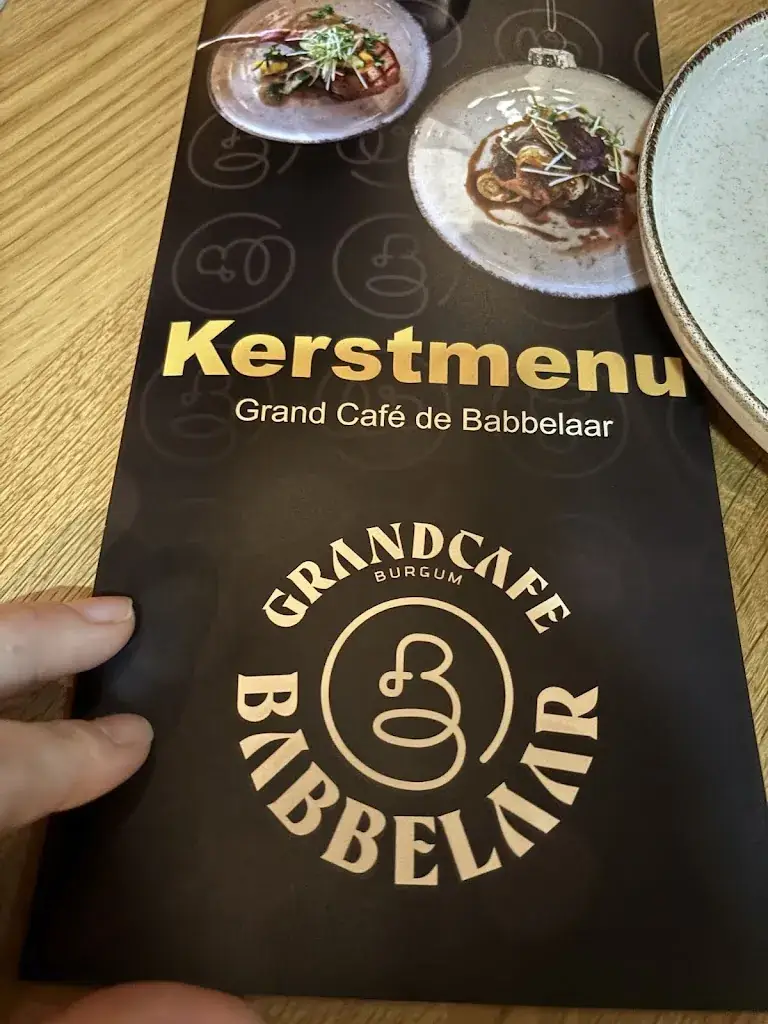 Linda van Leeuwen_De Babbelaar_Burgum_recensione