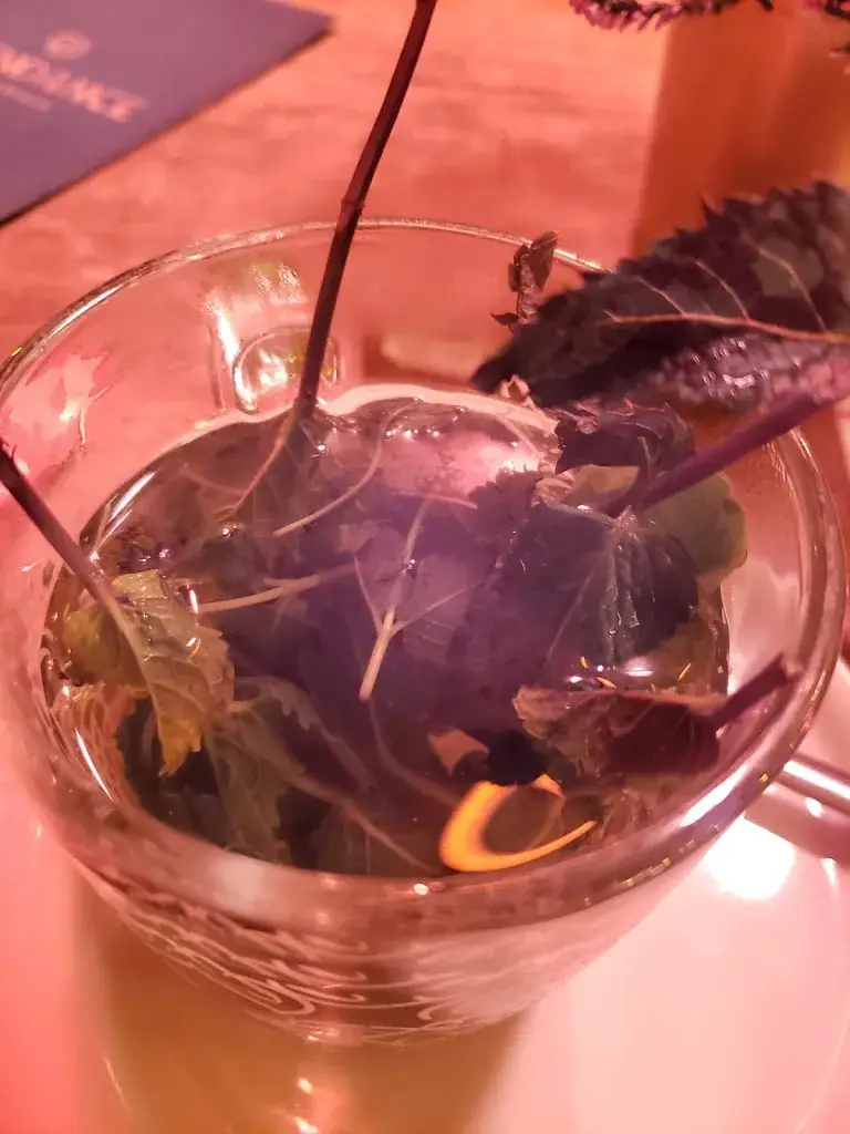 Menu_Swing Gouda_Gouda_immagine_9