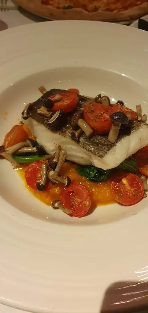 Aria_Post_Dordrecht_review