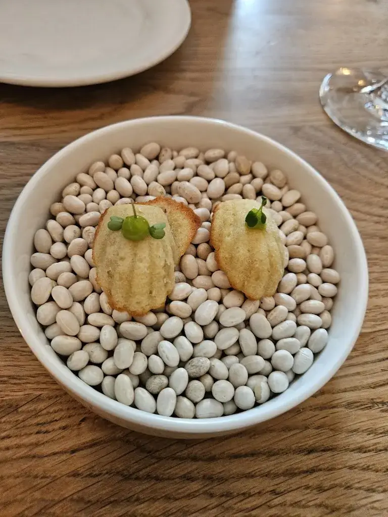 Mihaela Valentina_De Stroper_Dordrecht_review