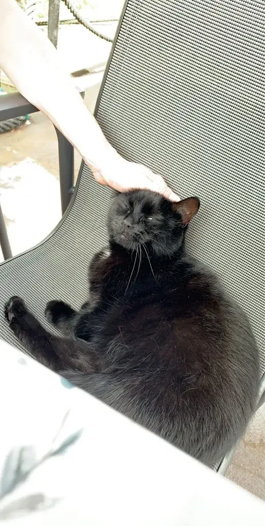 mir_Café Soif_Rotterdam_review