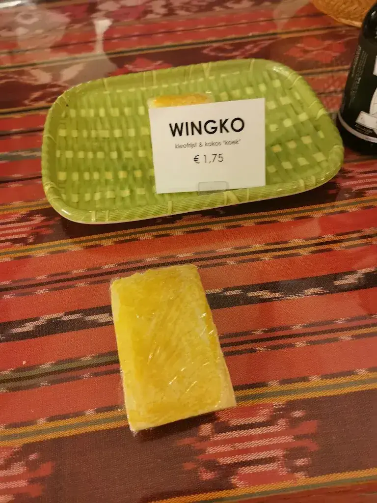 Tamara Farys_Ap Halen_Rotterdam_review