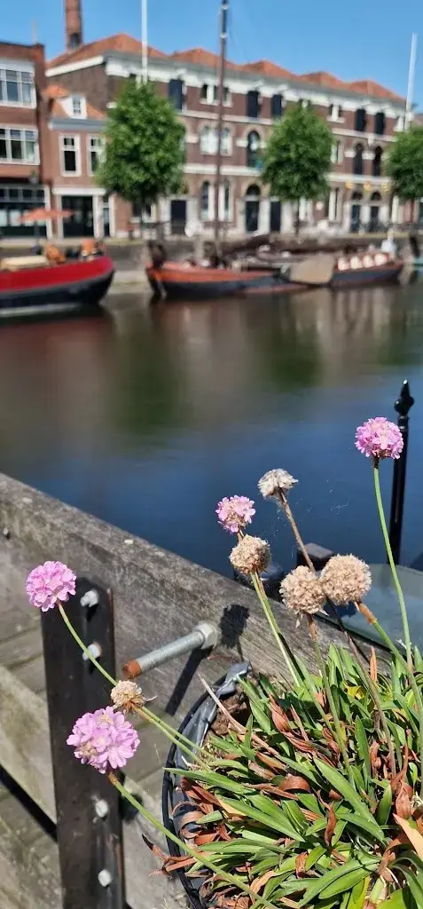 Altstadt Rotterdam_Rotterdam_slider_image_2