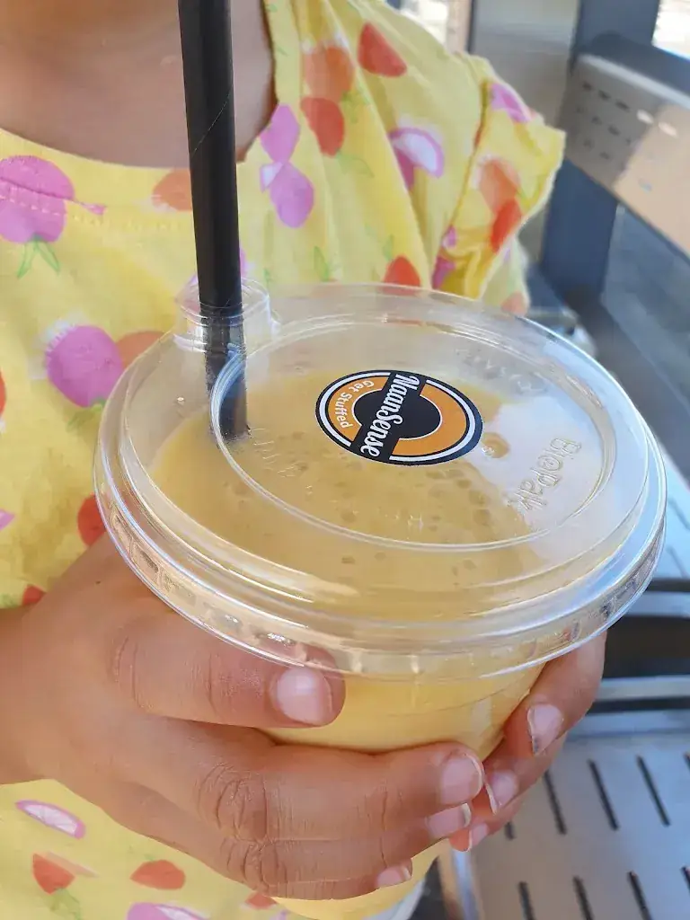 Menu_Naansense Indiaas-Pakistaanse Restaurant_IJssel_image_5