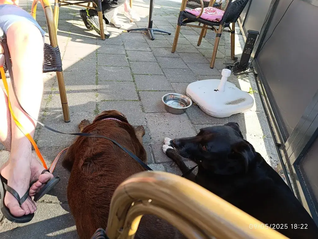 MIGUEL M PACHECO_Café Ons Stekkie_Rotterdam_review