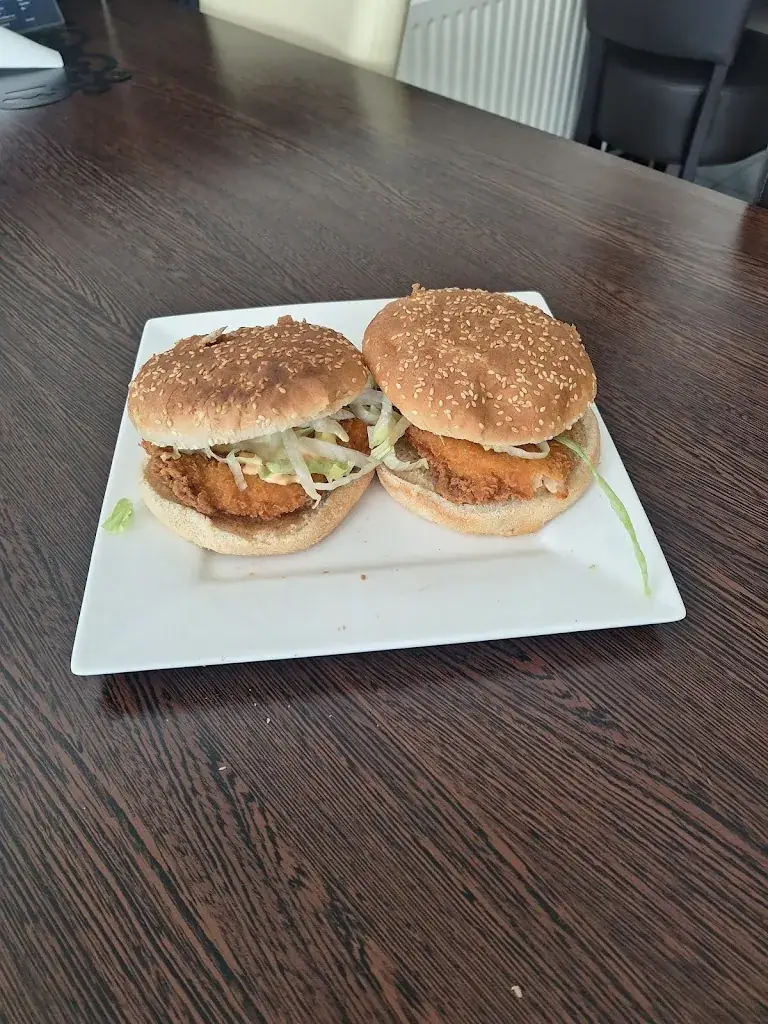 Menu_burritolekkerland.nl_Rotterdam_imagen_4