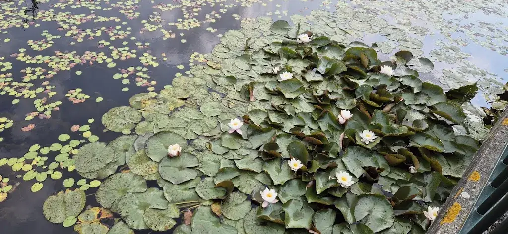 Mona_Restaurant & Evenementenlocatie Duinhoek_Hellevoetsluis_review