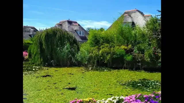 Restaurant & Evenementenlocatie Duinhoek_Hellevoetsluis_slider_image_2