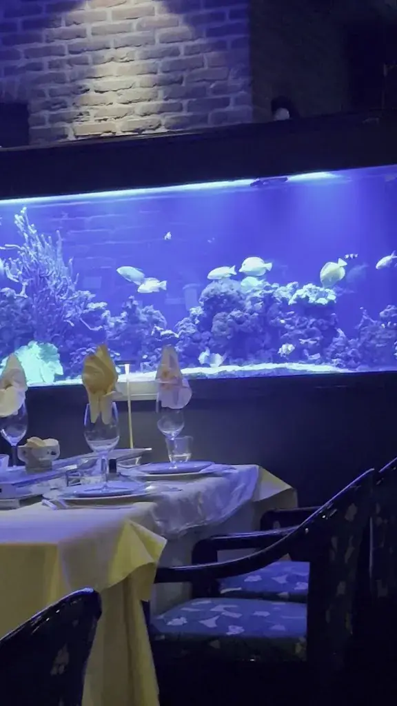 Flamingo Paradise_Wassenaar_slider_image_2