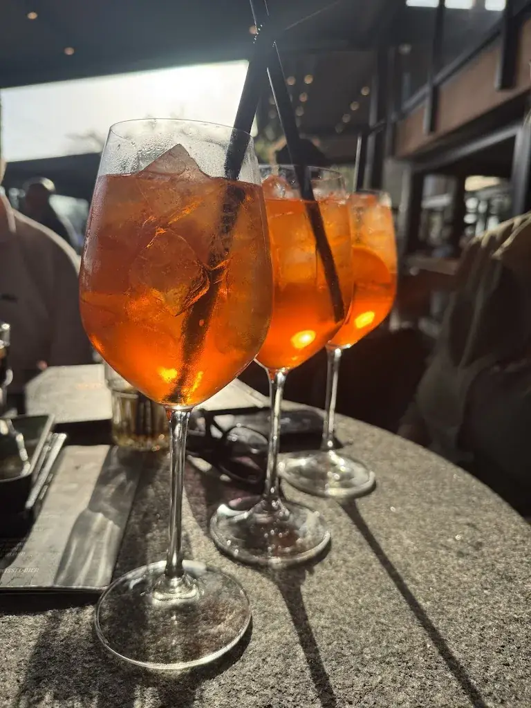 Инна Чорна_Wollebrand Restaurant & Cablepark_Honselersdijk_recensione