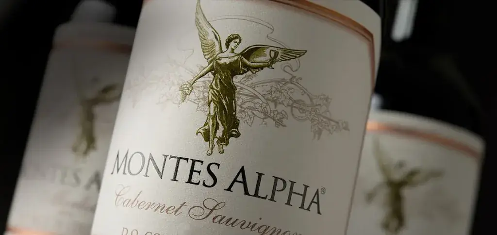 Wollebrand Restaurant & Cablepark_Honselersdijk_slider_image_3