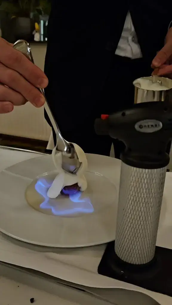 Az Ra_Il Gattopardo_Rotterdam_review