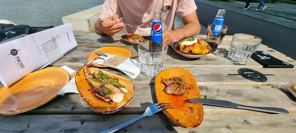 Paulina Scherpenisse_21 Pinchos Fenix I_Rotterdam_review