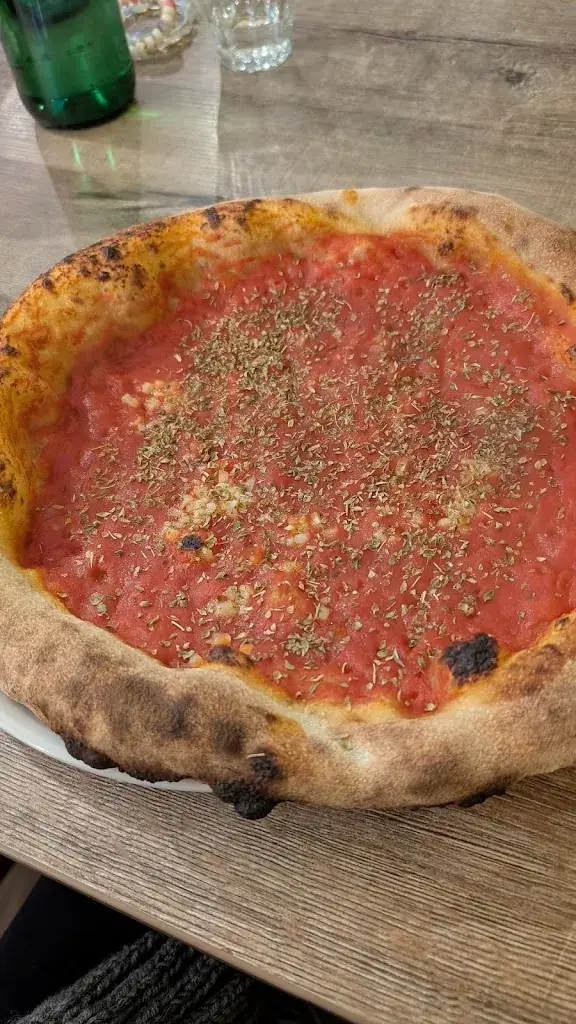 Aysun Urhan_Burro e Salvia_Rotterdam_review