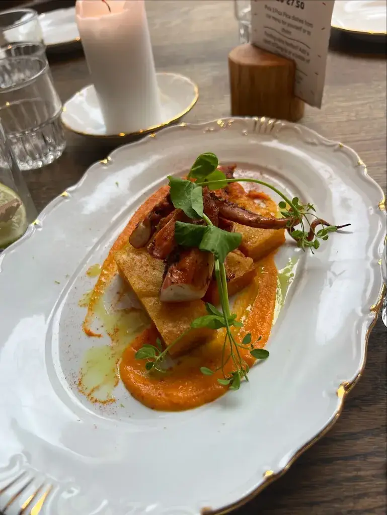 Renee English_Los Cosmos_Leiden_review