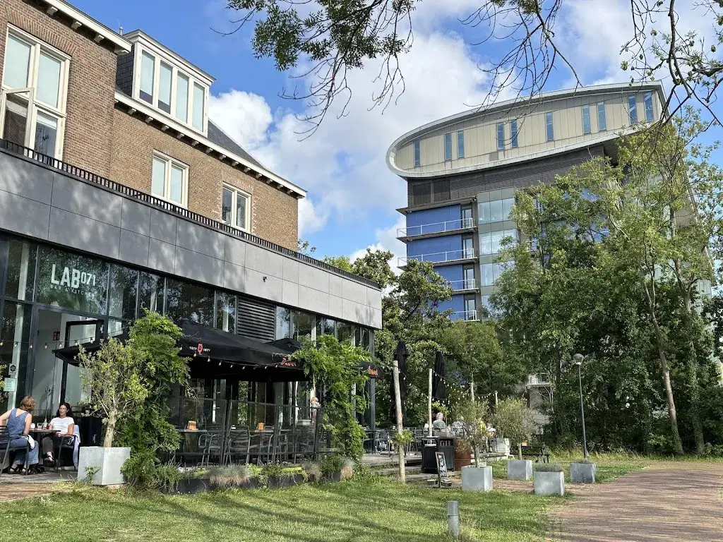 Natalie Harrower_Lab071_Leiden_review