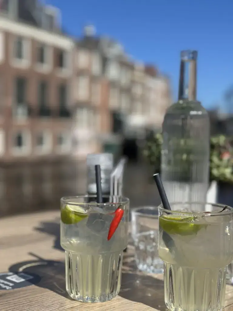 Hümeyra Karslı_WAAG_Leiden_review