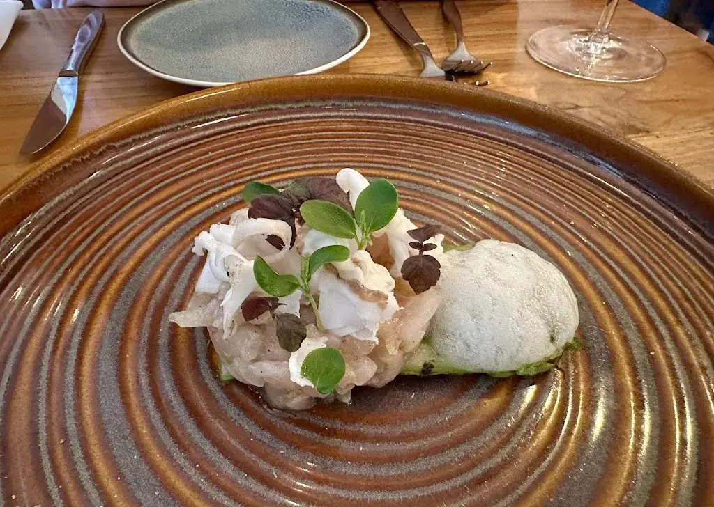 Rose_Just Meet_Leiden_review