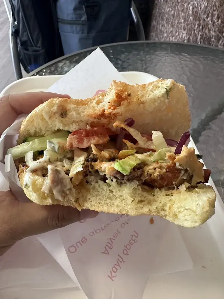 Hossain Mahmood Tuhin_Arya Eethuis_Leiden_review