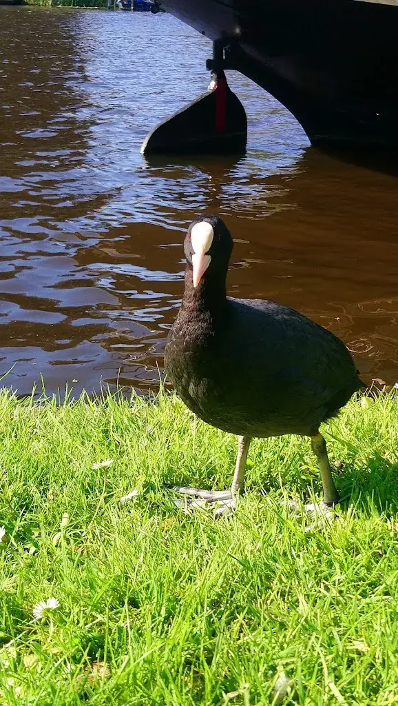 Arya Eethuis_Leiden_slider_image_3