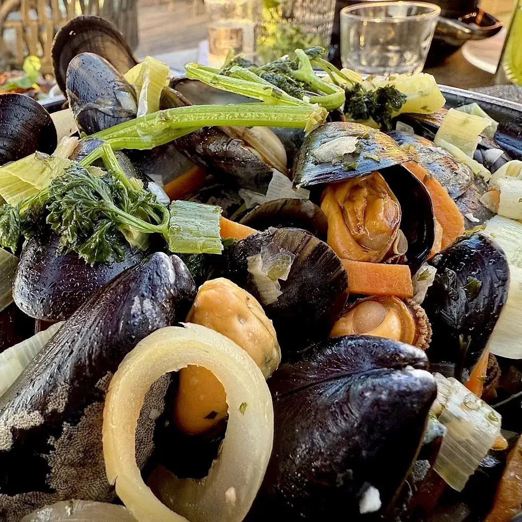 Freddy Snijder_Het Strand 