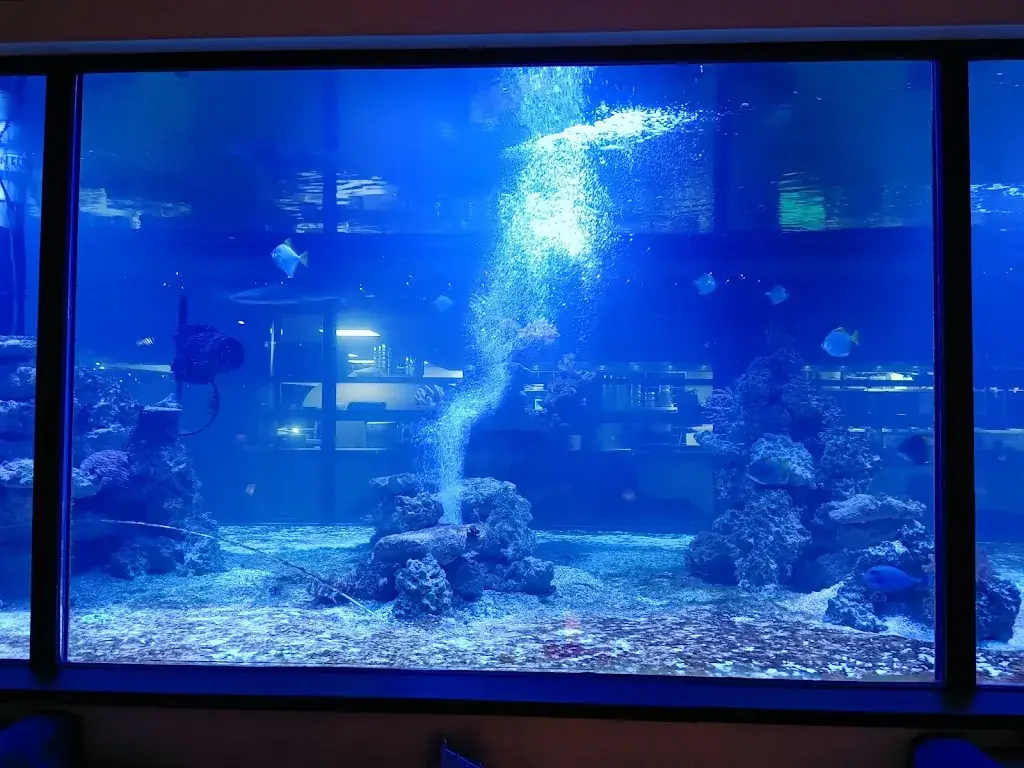 Petar Ogrizovic_Pavarotti Kijkduin_Haag_Bewertung