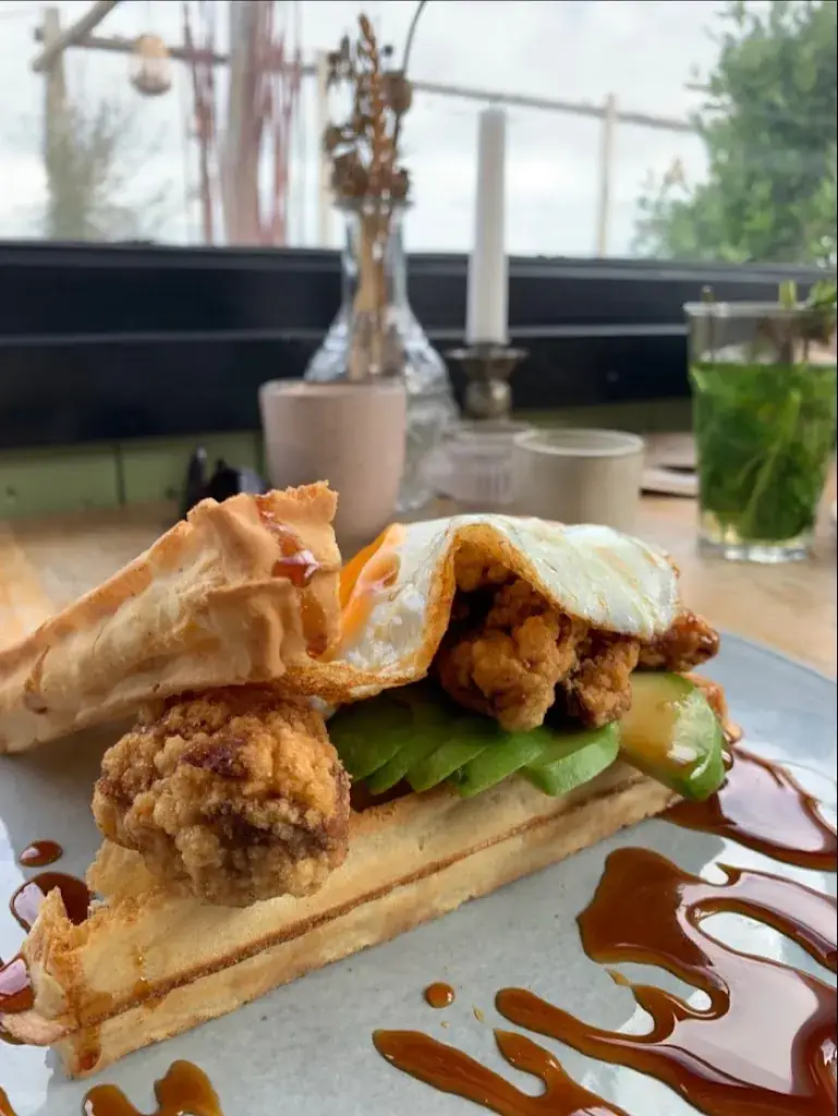 Cesar Mendoza_Beachclub BIRDS_Haag_review