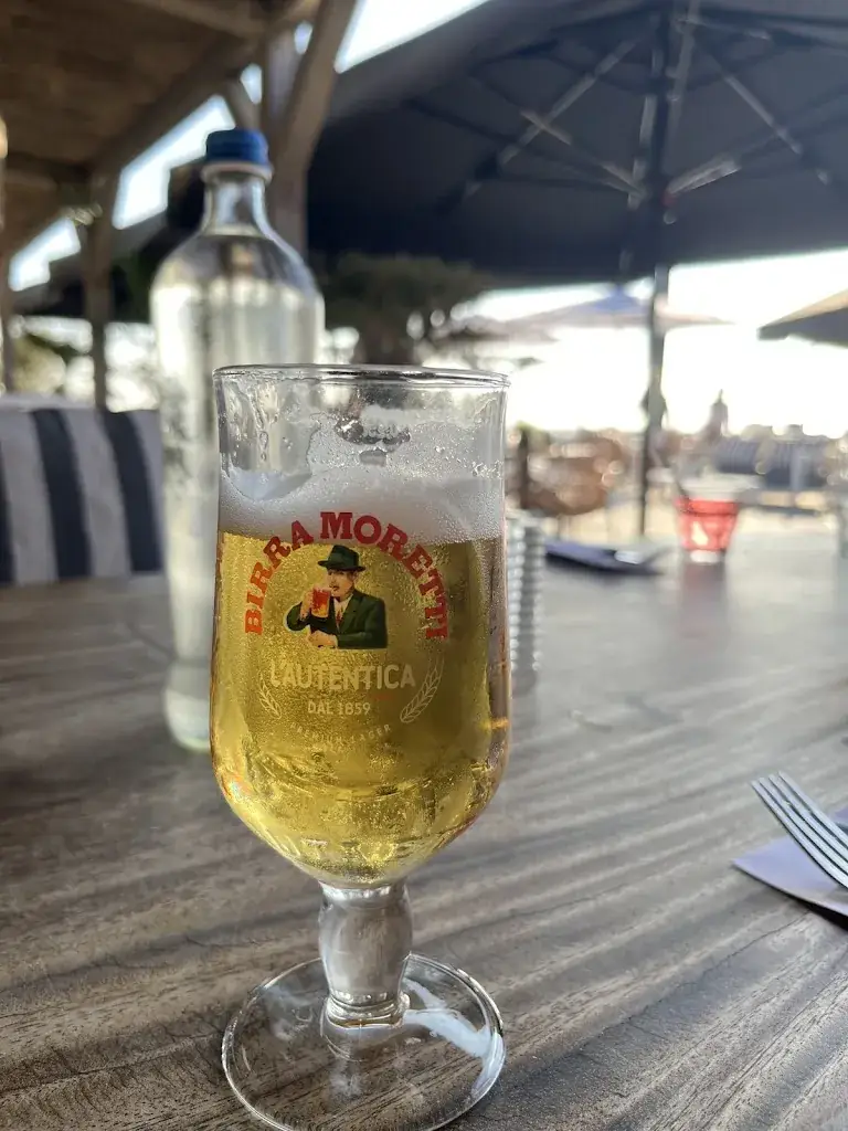 Amish Roche_Hudson Beach_Haag_reseña