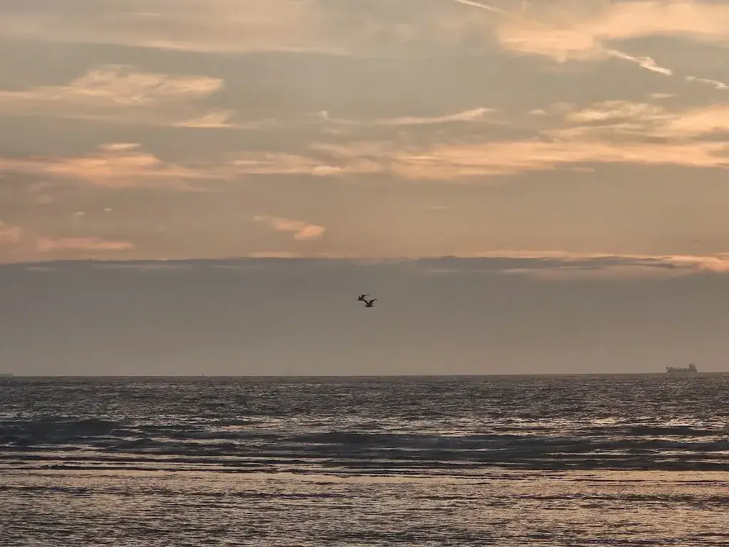 Monster_Monster_slider_image_3