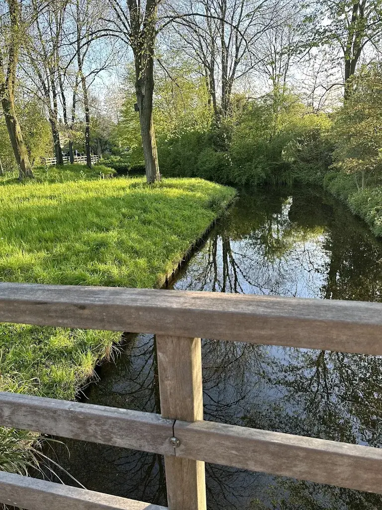 Naomie Karemi_Brasserie Park_Leiderdorp_Bewertung