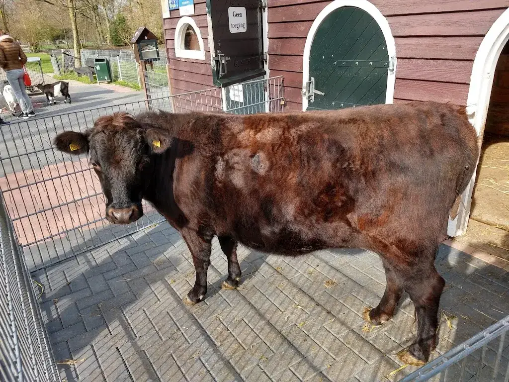 Brasserie Groep_Leiderdorp_slider_image_2