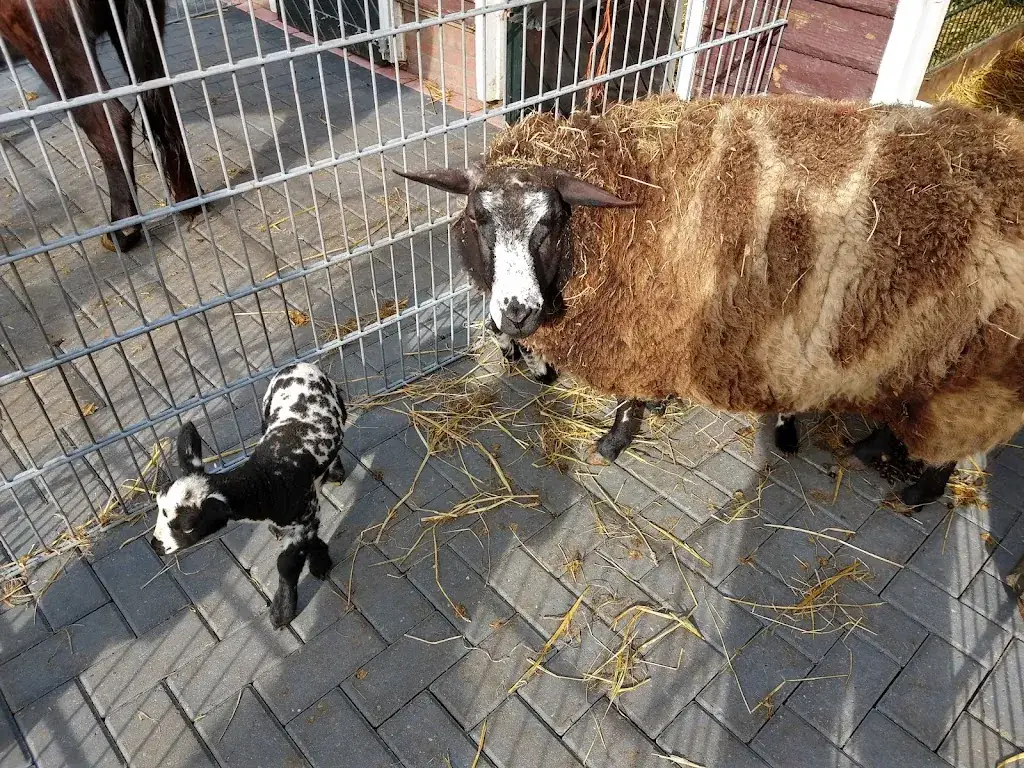 Brasserie Groep_Leiderdorp_slider_image_3