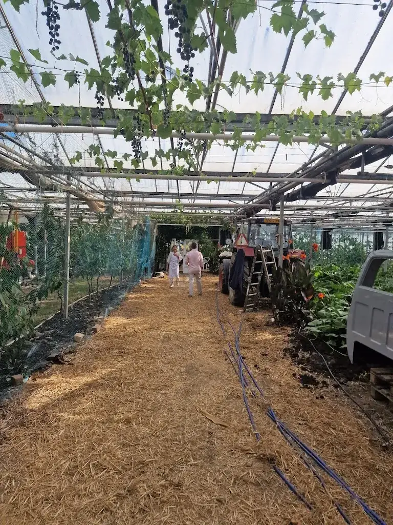 Patrick Van tilborg_Vers Hoeksche Waard_Heinenoord_review