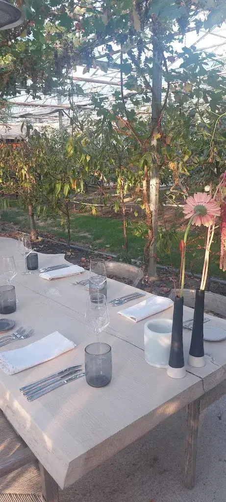 Claudine_Vers Hoeksche Waard_Heinenoord_review