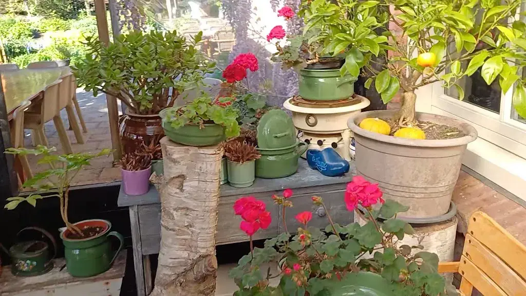 Video travel diary_De Sfeerstal_Nieuwveen_review