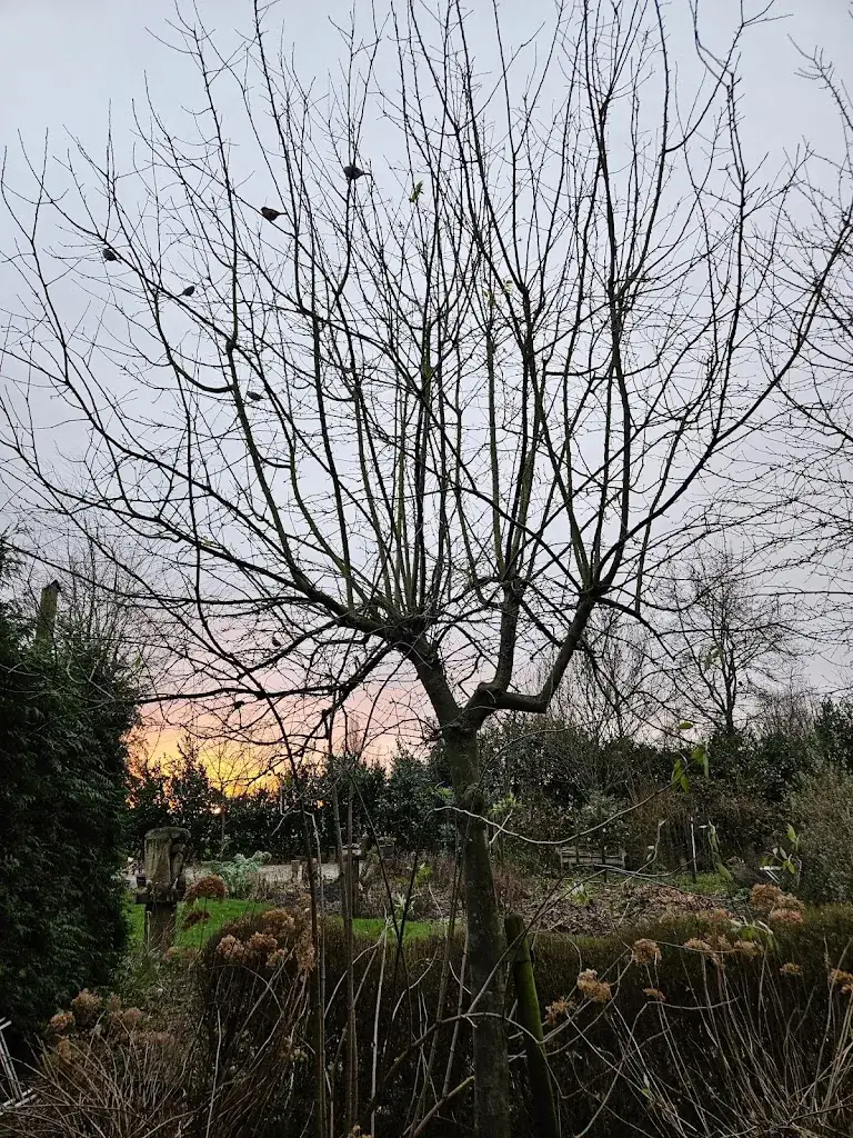 Astrid R._De Sfeerstal_Nieuwveen_review