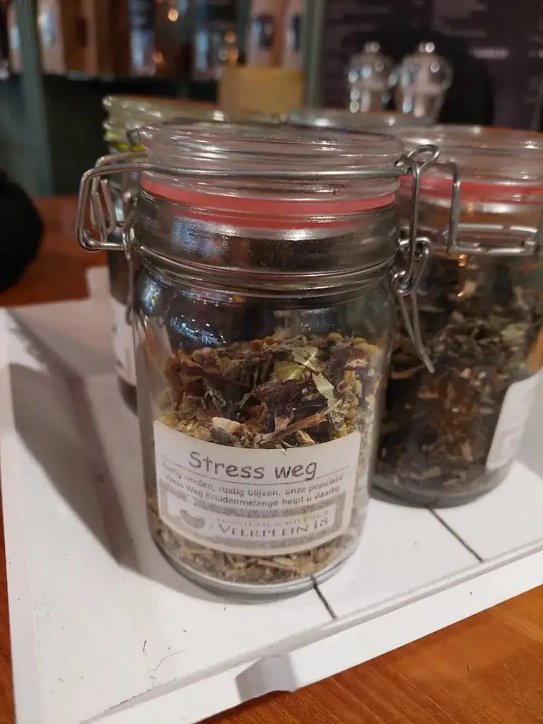 Priscilla Alders_Veerplein 18_Vlaardingen_review