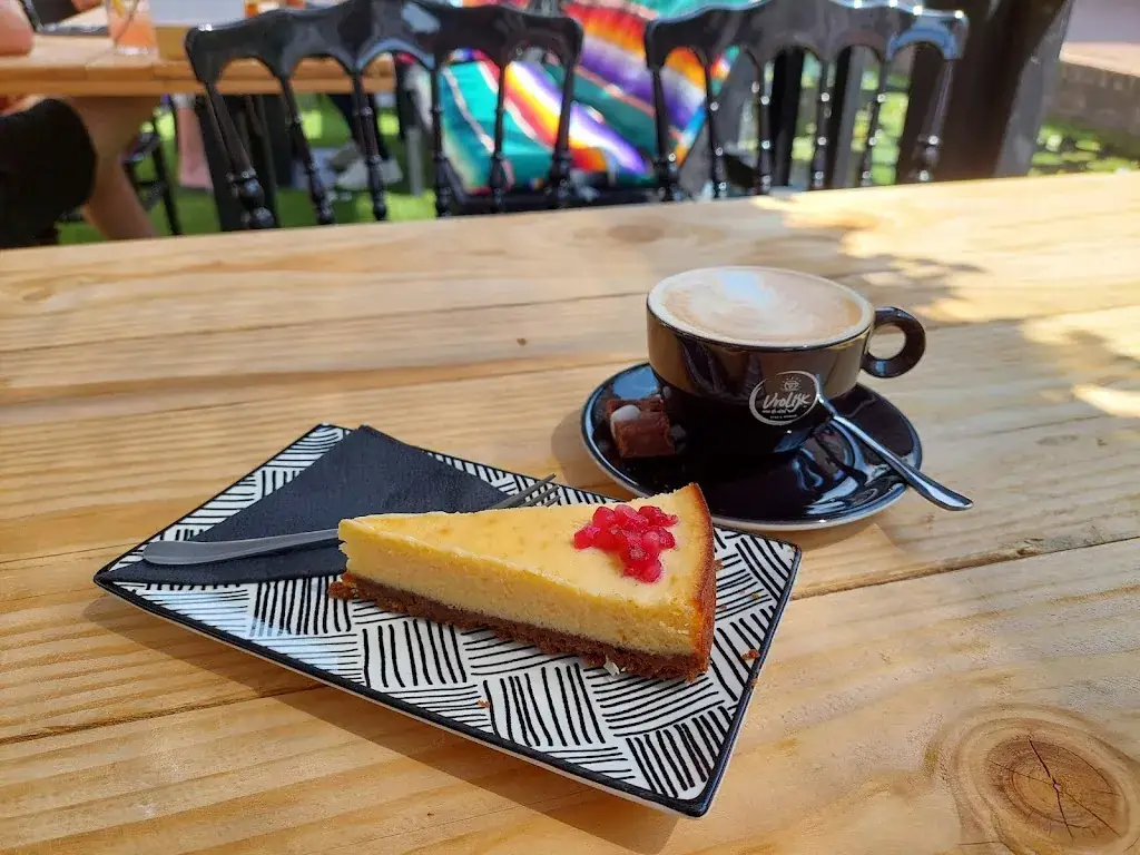 Jane Z._Vrolijk aan de Vliet_Maassluis_review