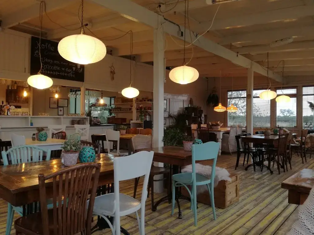 WyS_Strand Zomer_Nieuwkoop_review