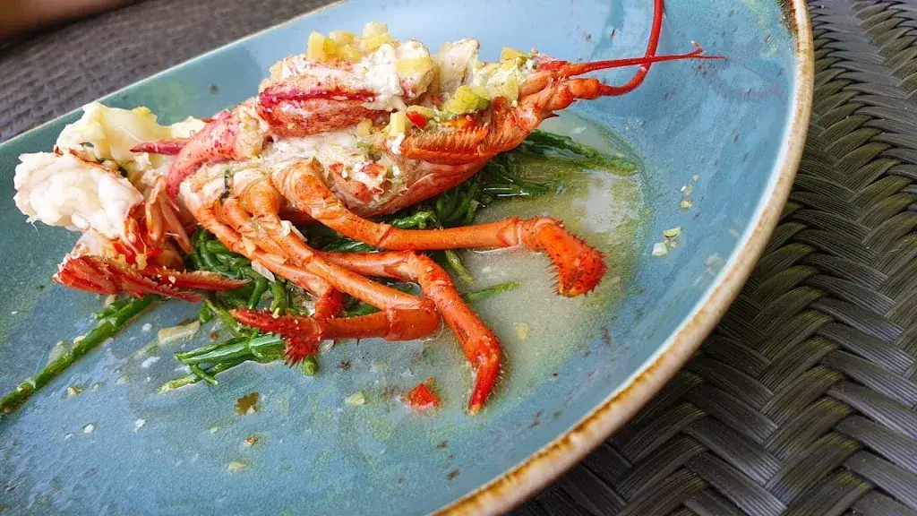 Sergiu S._Ganzengors_Spijkenisse_review