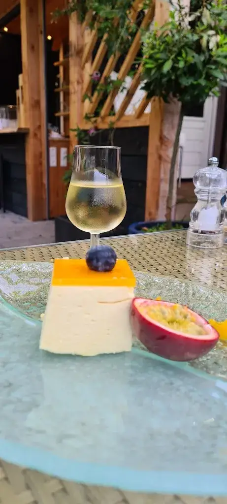 Tanja van Son_Ganzengors_Spijkenisse_review