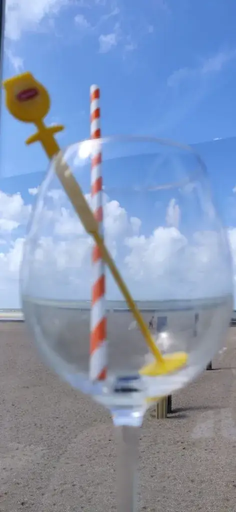 Ruxandra van der Plas-Voda Ph. D._Beach Café De Zeester_Ouddorp_review