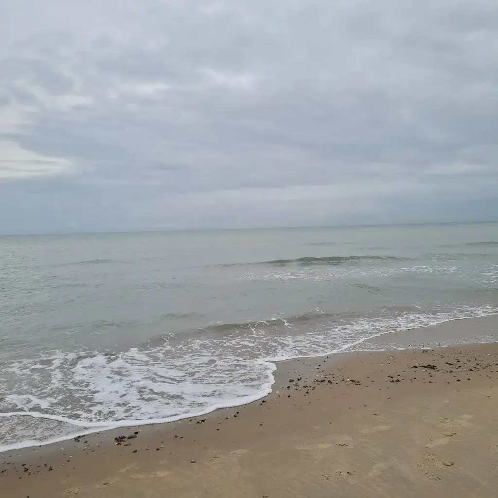 Vasiliu George-Stefan_Brouw_Ouddorp_avis