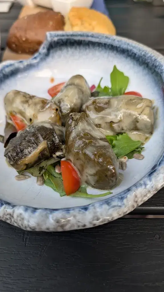 Steve Brown_Poseidon_Oud-Beijerland_review