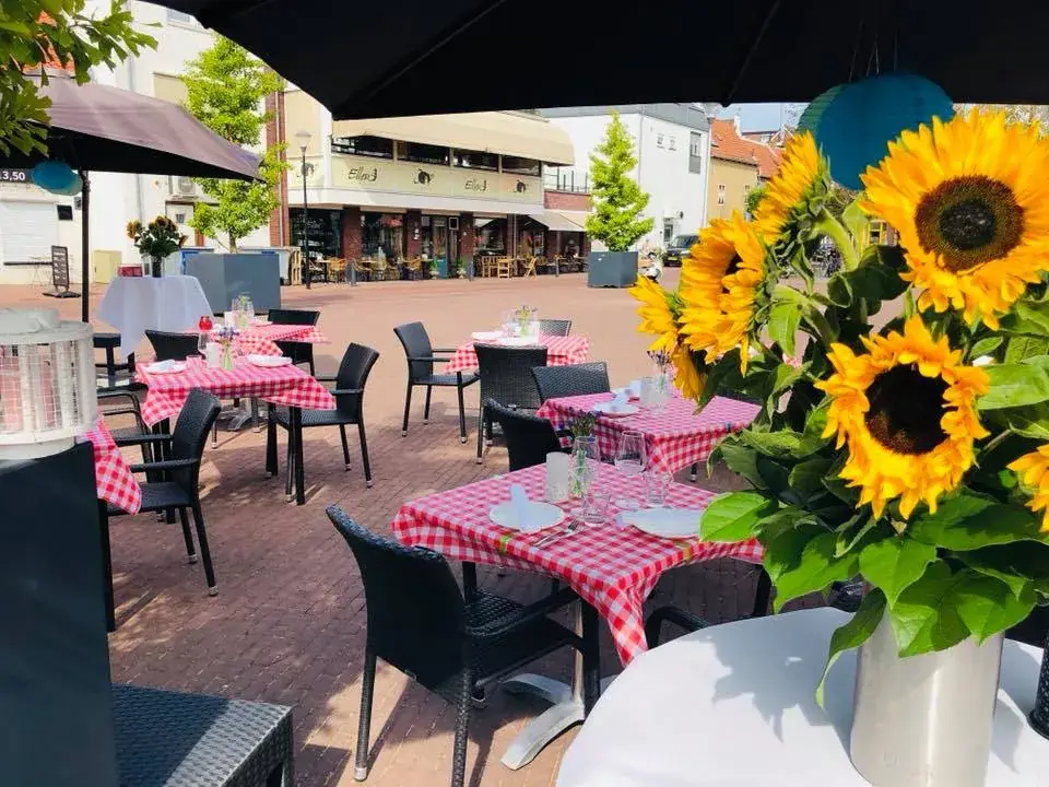 Restaurant Divina Cucina restaurant in Oud-Beijerland