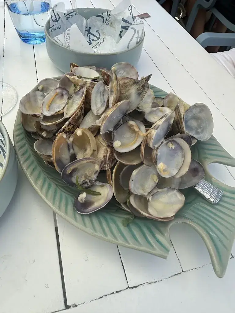 ili ili_Salt Noordwijk_Noordwijk_review